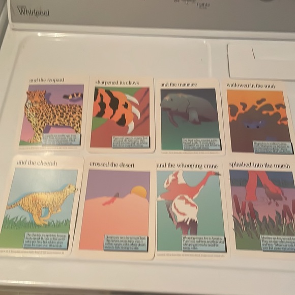 Museum of modern Art the endangered wildlife Flashcards - Picture 14 of 16